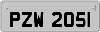 PZW2051