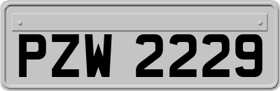 PZW2229