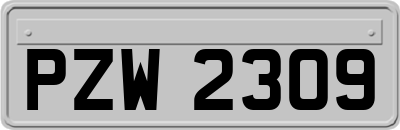 PZW2309