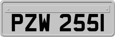 PZW2551