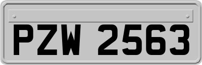 PZW2563