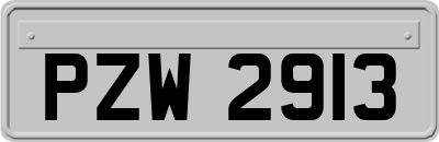 PZW2913