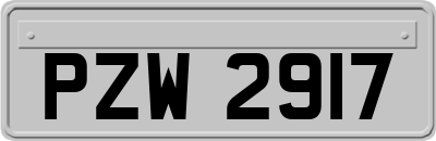 PZW2917