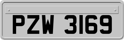 PZW3169