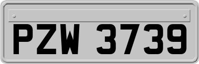 PZW3739