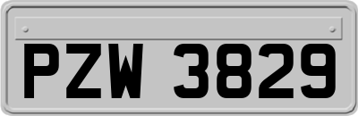 PZW3829