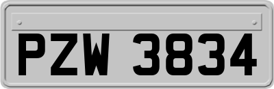 PZW3834