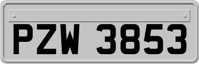PZW3853