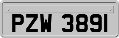 PZW3891