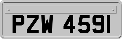 PZW4591