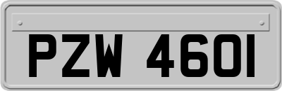 PZW4601