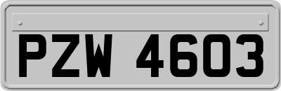 PZW4603