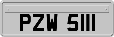 PZW5111