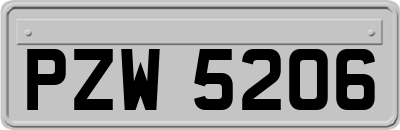 PZW5206