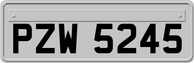 PZW5245