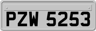 PZW5253