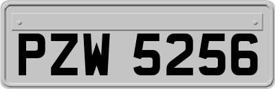 PZW5256