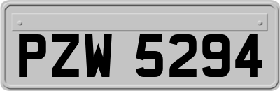 PZW5294