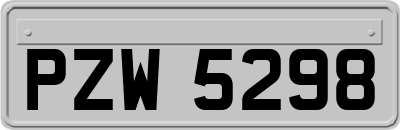 PZW5298