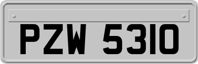 PZW5310