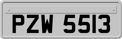 PZW5513