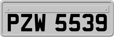 PZW5539