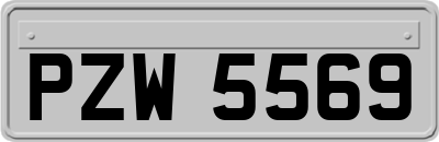 PZW5569