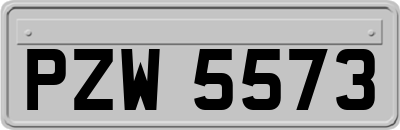 PZW5573