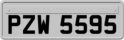 PZW5595