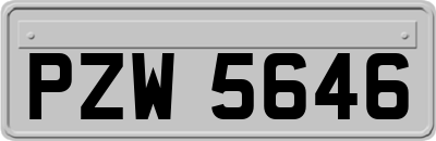 PZW5646