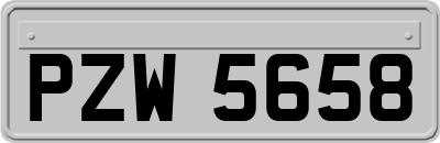 PZW5658