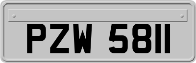 PZW5811