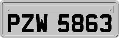 PZW5863