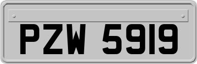 PZW5919