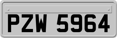 PZW5964