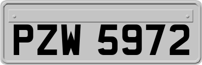 PZW5972