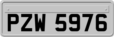 PZW5976