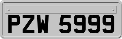 PZW5999