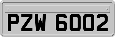 PZW6002