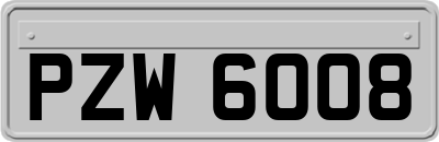 PZW6008