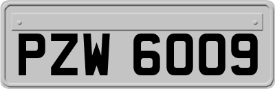 PZW6009