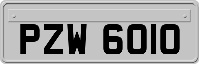 PZW6010