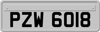 PZW6018