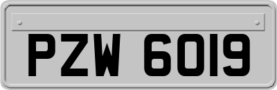 PZW6019