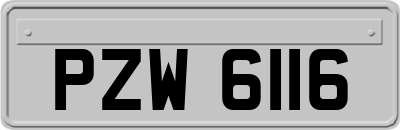 PZW6116