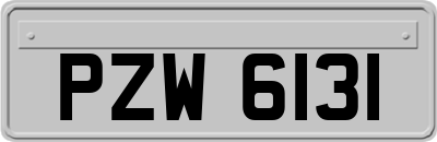 PZW6131