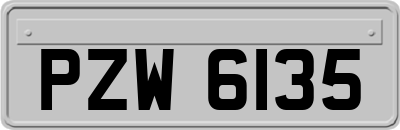 PZW6135