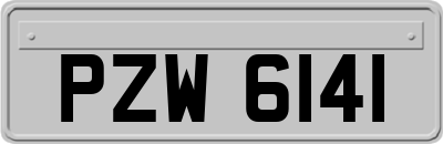 PZW6141