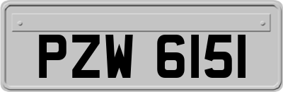 PZW6151