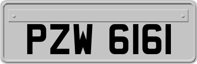 PZW6161